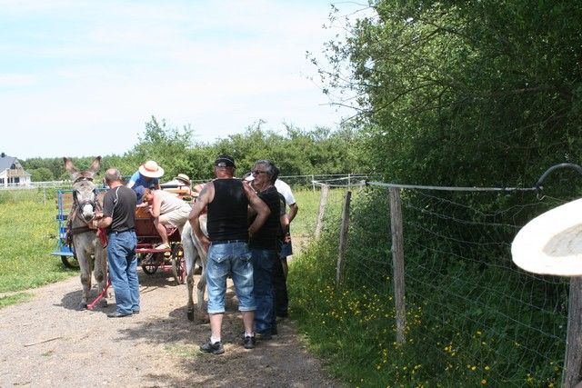 2015-07-06 rando anes (55).JPG